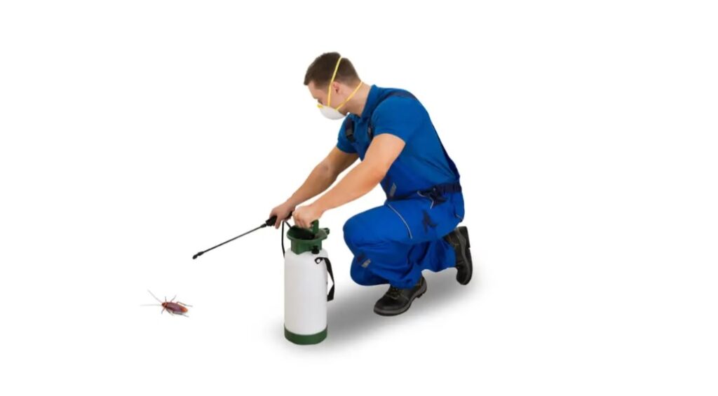 Fumigation Services Johannesburg